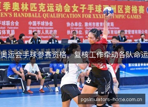 奥运会手球参赛资格，复核工作牵动各队命运